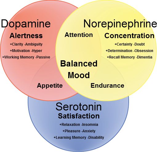 Mood And Neurotransmitters Lifetime Development
